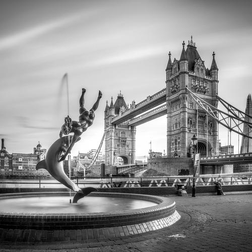 Preview Photographer\'s photo SELARU OVIDIU