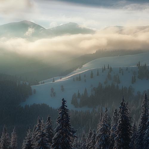 Preview Photographer\'s photo Csomai David