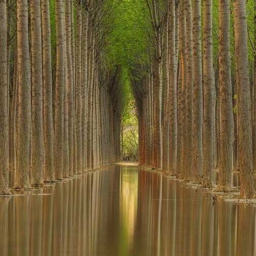 Превью фотографии фотографа Tony Goran