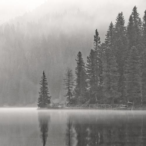 Превью фотографии фотографа Igor Sokolovsky