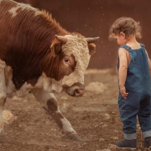 Превью фотографии фотографа Evgeny Loza