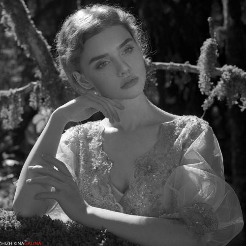 Превью фотографии фотографа Галина Жижикина