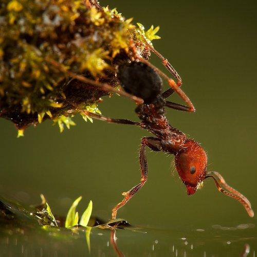 Preview Photographer\'s photo iryna