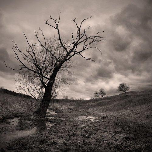 Preview Photographer\'s photo Виталий Башкатов