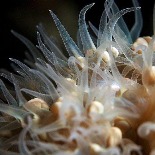 Preview Photographer\'s photo Anton Akhmatov