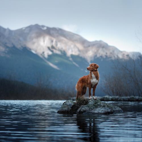 Preview Photographer\'s photo Анна Аверьянова