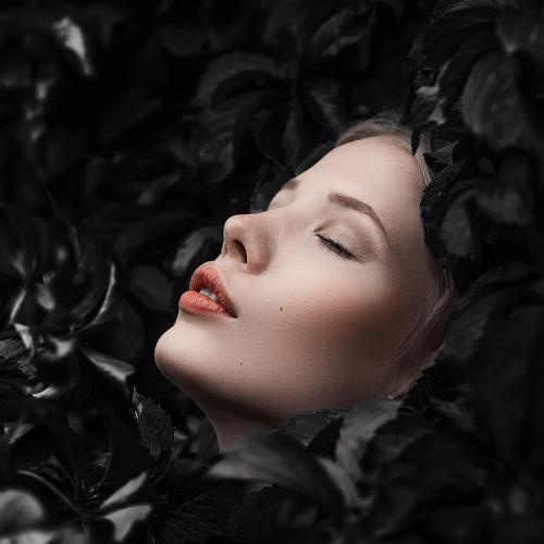 Превью фотографии фотографа Дмитрий Александров