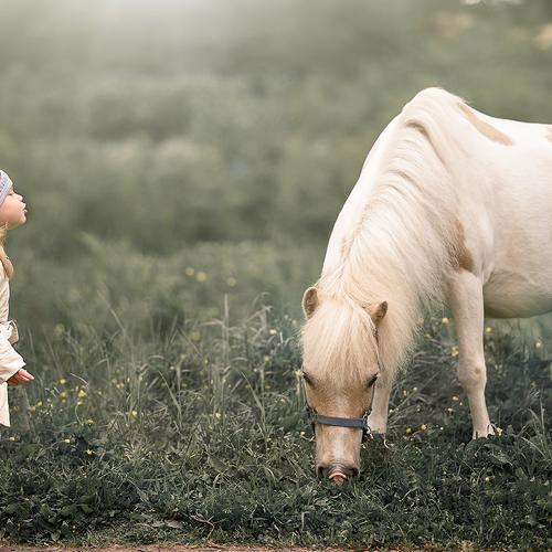 Preview Photographer\'s photo Maxim Lobikov