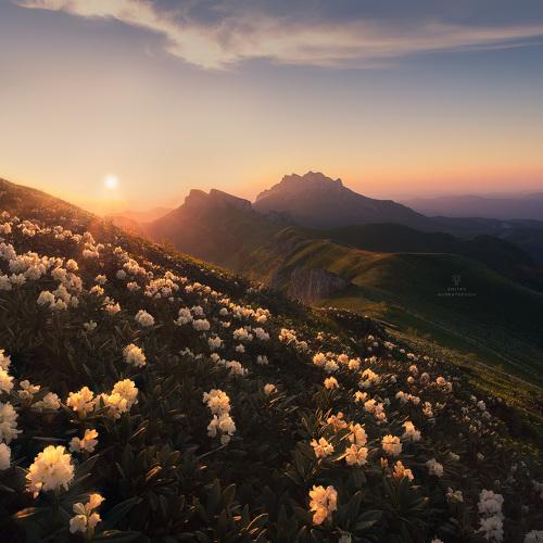 Превью фотографии фотографа Дмитрий Купрацевич