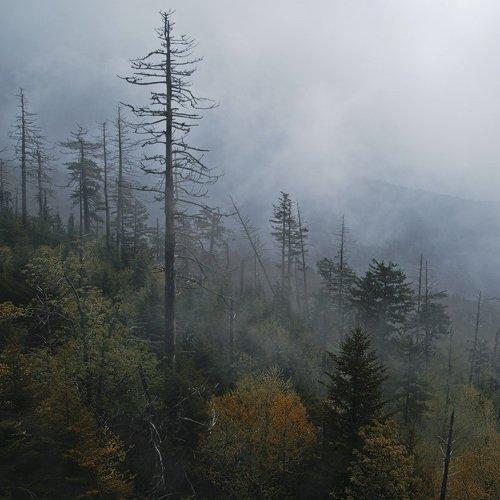 Preview Photographer\'s photo Pavel