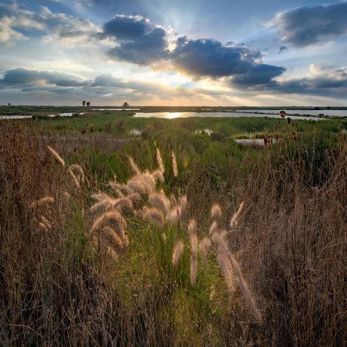 Превью фотографии фотографа Анатолий