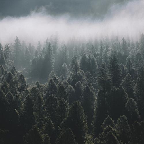 Превью фотографии фотографа Александр Нерозя