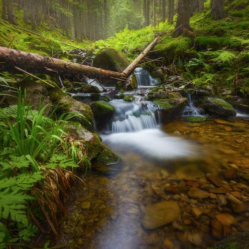 Превью фотографии фотографа Slava Lucky