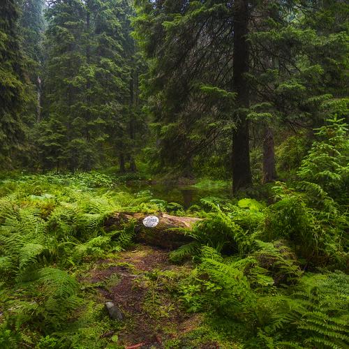 Превью фотографии фотографа Slava Lucky
