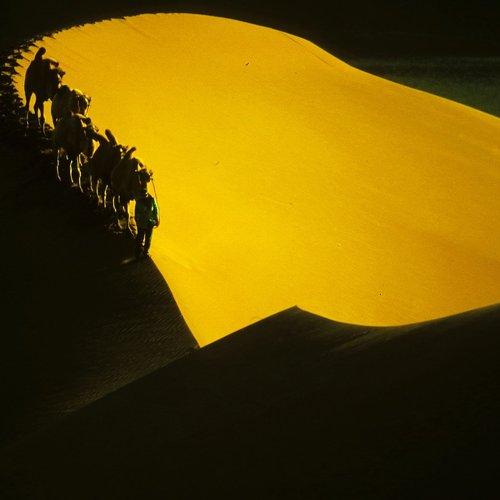 Preview Photographer\'s photo Inkol Yu  유인걸