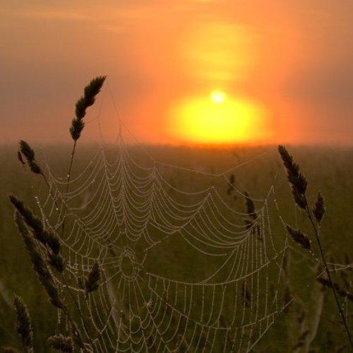 Превью фотографии фотографа Байдалов Павел