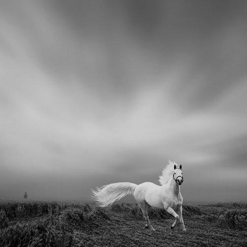 Preview Photographer\'s photo Caras Ionut