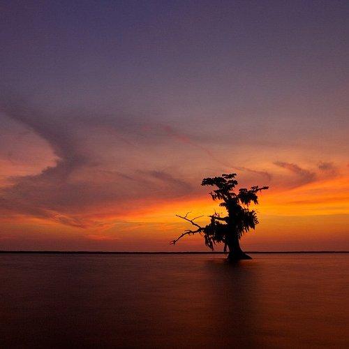 Preview Photographer\'s photo Евгений Васенёв