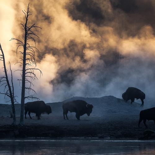 Preview Photographer\'s photo Nathaniel Merz