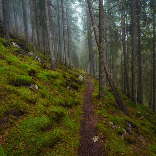 Превью фотографии фотографа Slava Lucky
