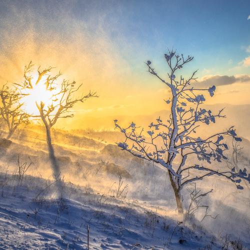 Превью фотографии фотографа Виталий Берков