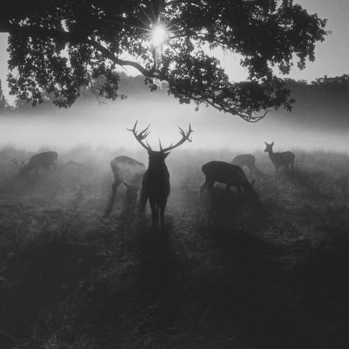 Preview Photographer\'s photo Robert Fabrowski