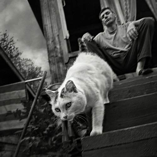 Preview Photographer\'s photo владимир