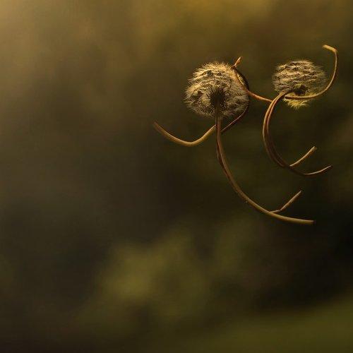 Preview Photographer\'s photo Татьяна Гориловская