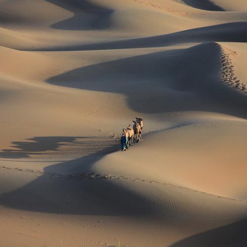 Preview Photographer\'s photo Inkol Yu  유인걸