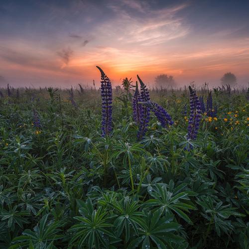 Превью фотографии фотографа Виталий Левыкин