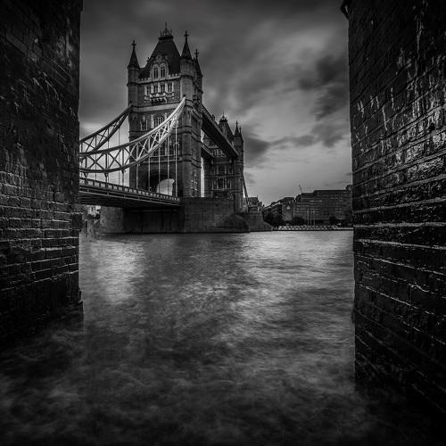 Preview Photographer\'s photo SELARU OVIDIU