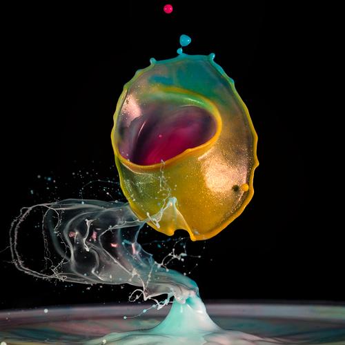 Preview Photographer\'s photo Yağcı Mustafa