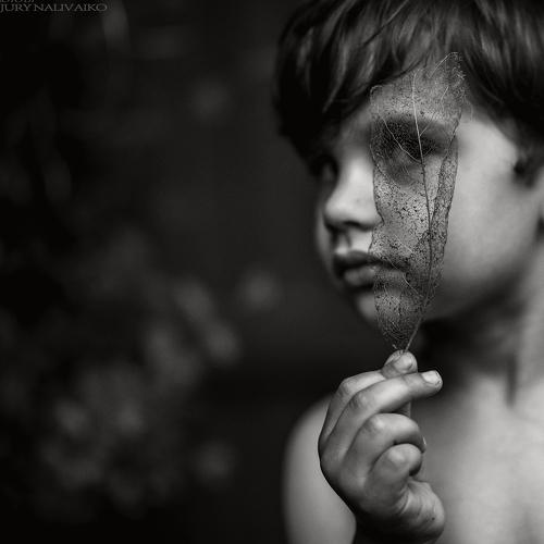 Превью фотографии фотографа Jury