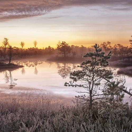 Preview Photographer\'s photo Aleksandr