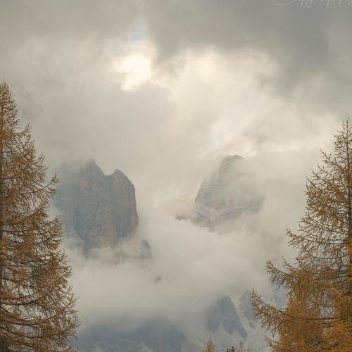 Превью фотографии фотографа Merphy Sergei