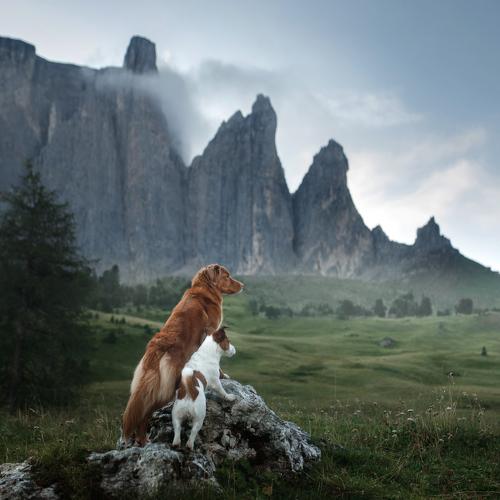 Превью фотографии фотографа Анна Аверьянова