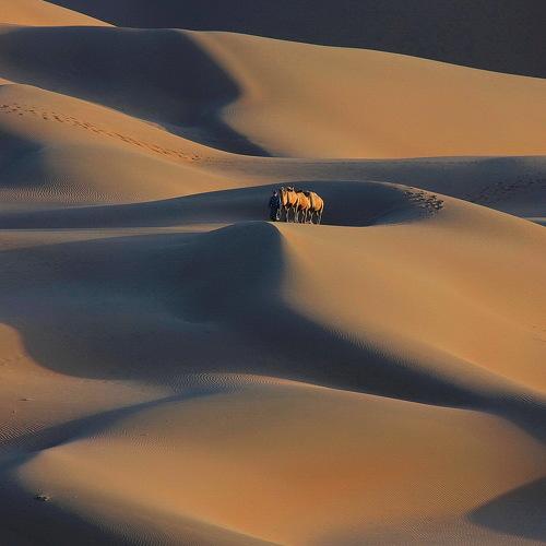 Preview Photographer\'s photo Inkol Yu  유인걸