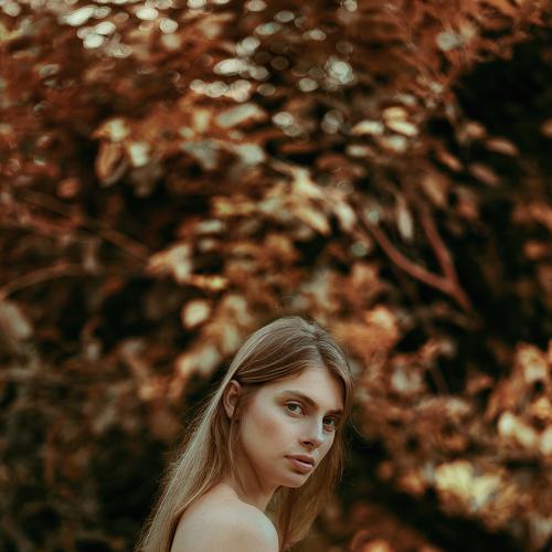 Preview Photographer\'s photo Ali Arabzadeh