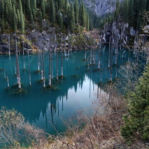 Preview Photographer\'s photo Sergio