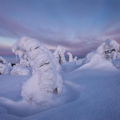 Превью фотографии фотографа Головченко Юрий