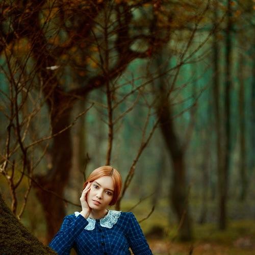 Preview Photographer\'s photo Ali Arabzadeh