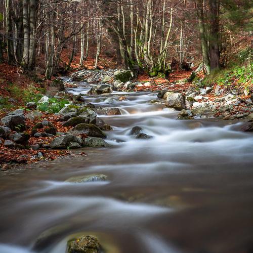 Превью фотографии фотографа Eriks Zilbalodis