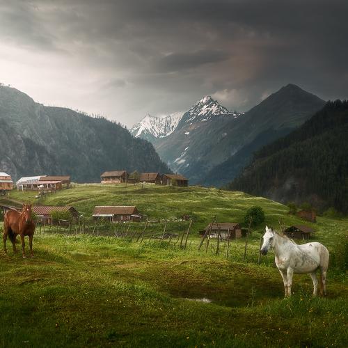 Preview Photographer\'s photo Soft Light