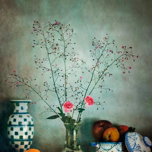 Preview Photographer\'s photo Osvaldo Gon