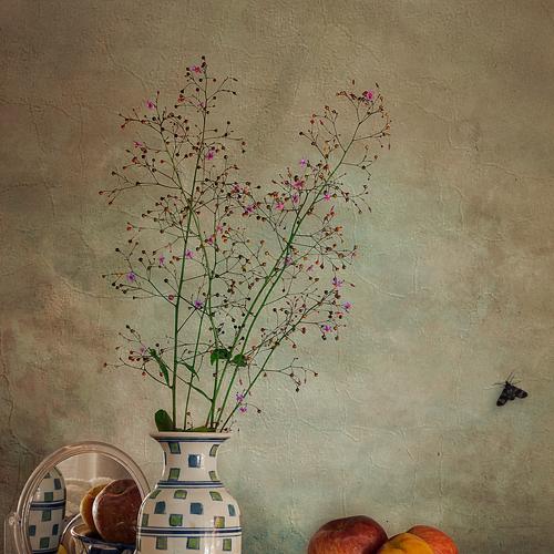 Preview Photographer\'s photo Osvaldo Gon