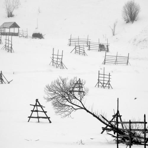 Превью фотографии фотографа Dzintra Zvagina