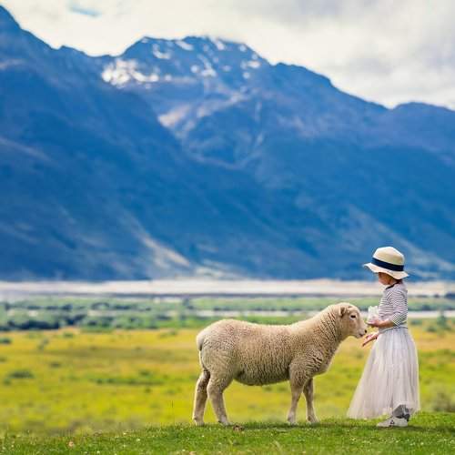 Preview Photographer\'s photo Derek Zhang