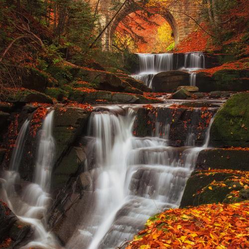 Preview Photographer\'s photo Naiden Bochev