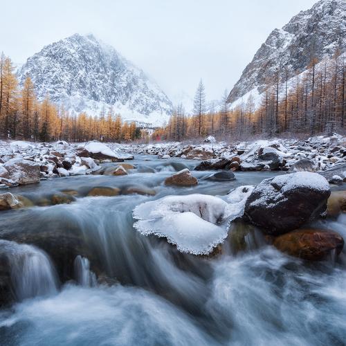 Превью фотографии фотографа Александр Кукринов