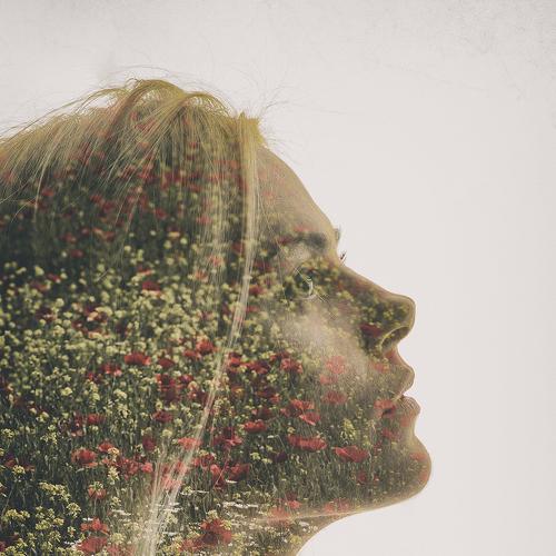 Превью фотографии фотографа Andris Apshenieks